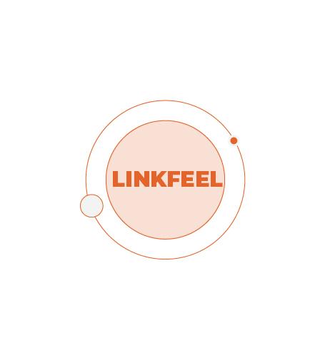 LINKFEEL TOKEN for 1 year